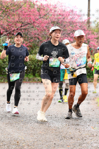 2026左岸竹東櫻花馬拉松Zhudong Sakura Marathon