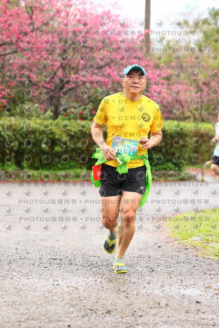 2026左岸竹東櫻花馬拉松Zhudong Sakura Marathon
