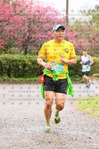 2026左岸竹東櫻花馬拉松Zhudong Sakura Marathon