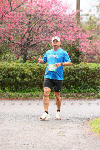 2026左岸竹東櫻花馬拉松Zhudong Sakura Marathon