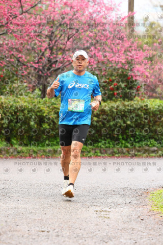 2026左岸竹東櫻花馬拉松Zhudong Sakura Marathon