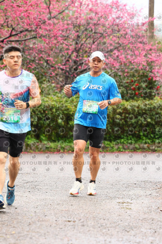 2026左岸竹東櫻花馬拉松Zhudong Sakura Marathon
