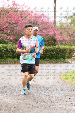 2026左岸竹東櫻花馬拉松Zhudong Sakura Marathon