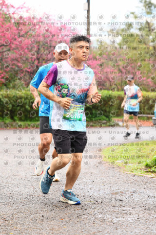 2026左岸竹東櫻花馬拉松Zhudong Sakura Marathon