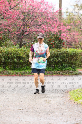 2026左岸竹東櫻花馬拉松Zhudong Sakura Marathon