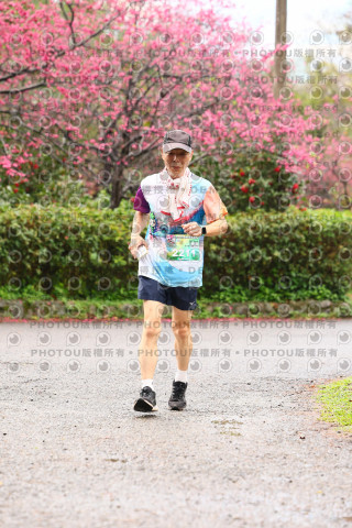 2026左岸竹東櫻花馬拉松Zhudong Sakura Marathon