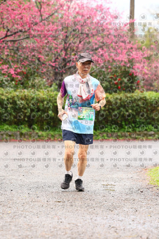 2026左岸竹東櫻花馬拉松Zhudong Sakura Marathon