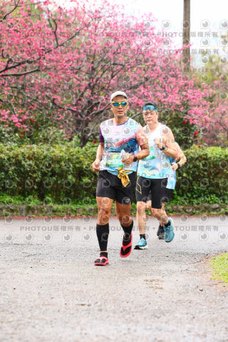 2026左岸竹東櫻花馬拉松Zhudong Sakura Marathon