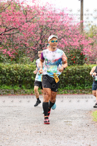 2026左岸竹東櫻花馬拉松Zhudong Sakura Marathon