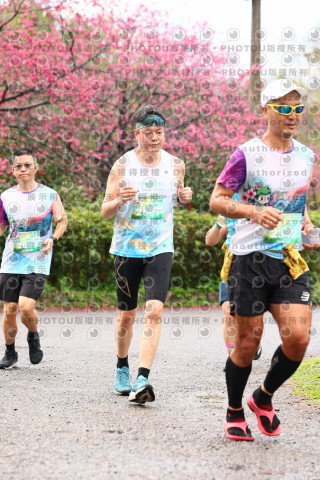 2026左岸竹東櫻花馬拉松Zhudong Sakura Marathon