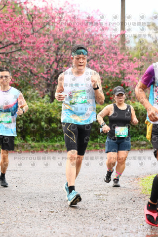 2026左岸竹東櫻花馬拉松Zhudong Sakura Marathon