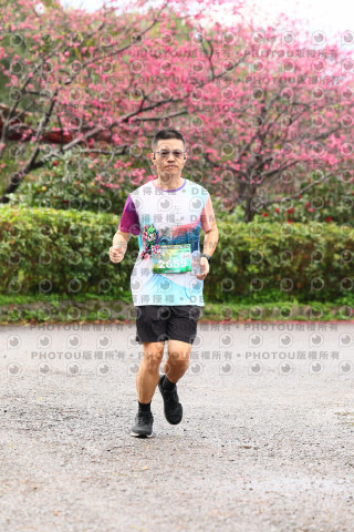 2026左岸竹東櫻花馬拉松Zhudong Sakura Marathon