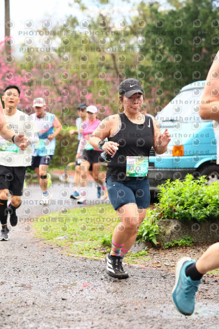 2026左岸竹東櫻花馬拉松Zhudong Sakura Marathon