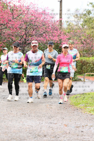 2026左岸竹東櫻花馬拉松Zhudong Sakura Marathon