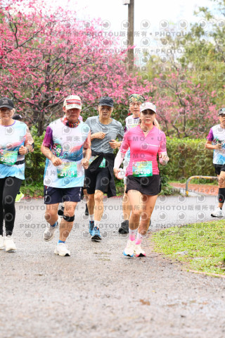 2026左岸竹東櫻花馬拉松Zhudong Sakura Marathon