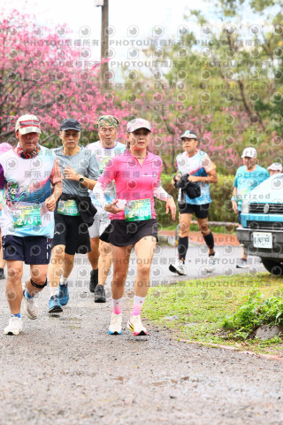 2026左岸竹東櫻花馬拉松Zhudong Sakura Marathon