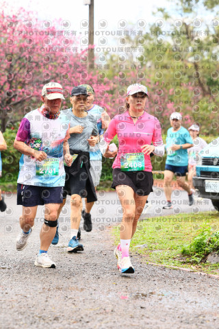 2026左岸竹東櫻花馬拉松Zhudong Sakura Marathon