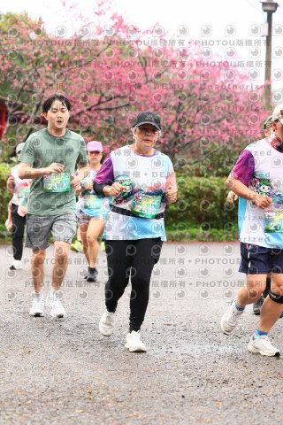 2026左岸竹東櫻花馬拉松Zhudong Sakura Marathon