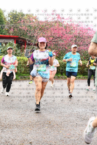 2026左岸竹東櫻花馬拉松Zhudong Sakura Marathon