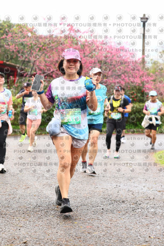 2026左岸竹東櫻花馬拉松Zhudong Sakura Marathon