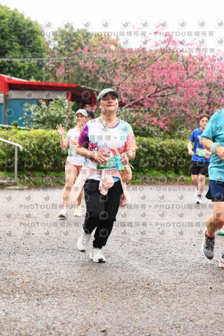 2026左岸竹東櫻花馬拉松Zhudong Sakura Marathon