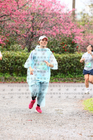 2026左岸竹東櫻花馬拉松Zhudong Sakura Marathon