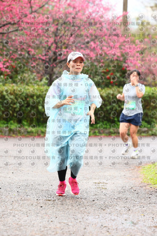 2026左岸竹東櫻花馬拉松Zhudong Sakura Marathon