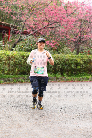 2026左岸竹東櫻花馬拉松Zhudong Sakura Marathon