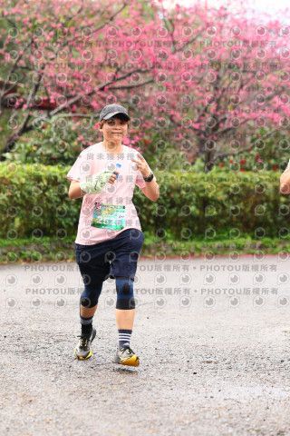 2026左岸竹東櫻花馬拉松Zhudong Sakura Marathon