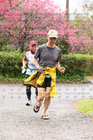 2026左岸竹東櫻花馬拉松Zhudong Sakura Marathon