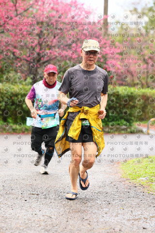 2026左岸竹東櫻花馬拉松Zhudong Sakura Marathon