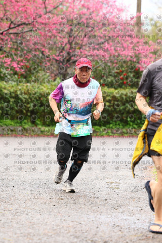 2026左岸竹東櫻花馬拉松Zhudong Sakura Marathon