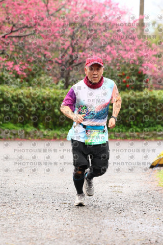2026左岸竹東櫻花馬拉松Zhudong Sakura Marathon