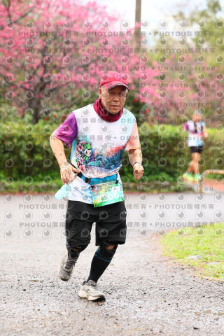 2026左岸竹東櫻花馬拉松Zhudong Sakura Marathon