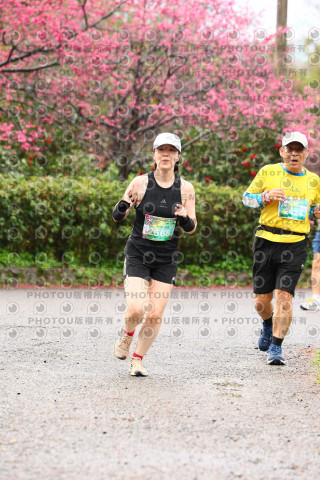 2026左岸竹東櫻花馬拉松Zhudong Sakura Marathon