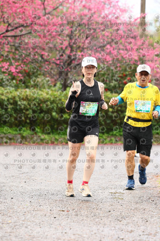 2026左岸竹東櫻花馬拉松Zhudong Sakura Marathon