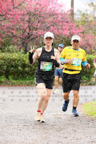 2026左岸竹東櫻花馬拉松Zhudong Sakura Marathon