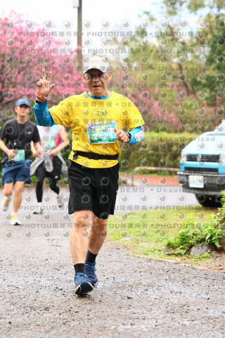 2026左岸竹東櫻花馬拉松Zhudong Sakura Marathon