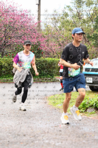 2026左岸竹東櫻花馬拉松Zhudong Sakura Marathon