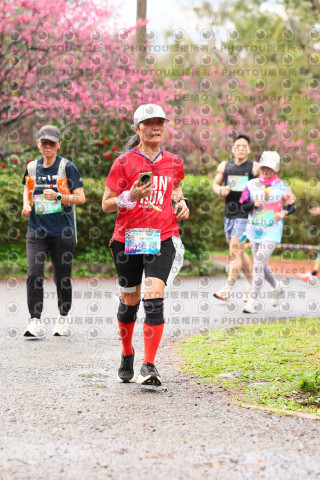 2026左岸竹東櫻花馬拉松Zhudong Sakura Marathon