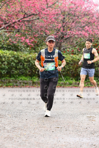 2026左岸竹東櫻花馬拉松Zhudong Sakura Marathon