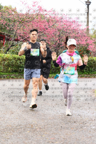 2026左岸竹東櫻花馬拉松Zhudong Sakura Marathon