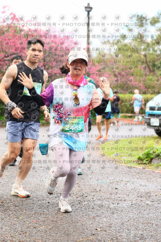 2026左岸竹東櫻花馬拉松Zhudong Sakura Marathon