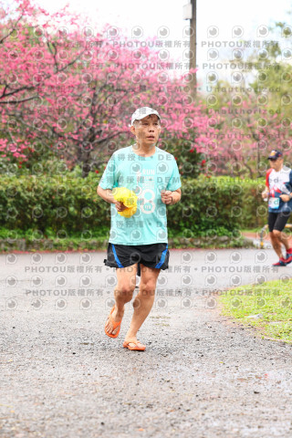 2026左岸竹東櫻花馬拉松Zhudong Sakura Marathon