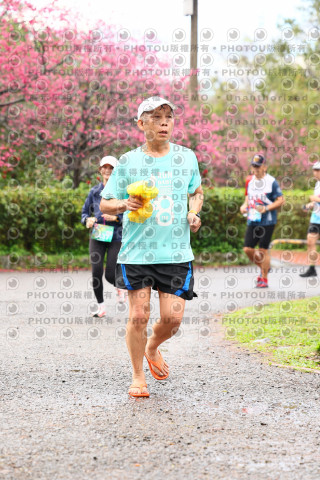 2026左岸竹東櫻花馬拉松Zhudong Sakura Marathon
