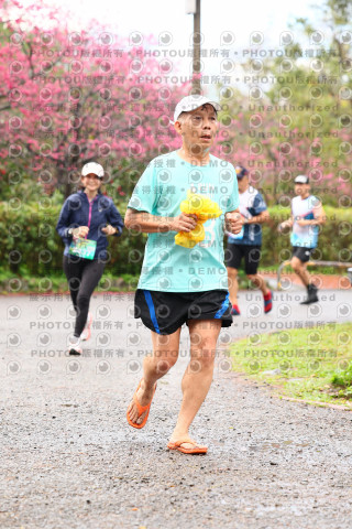2026左岸竹東櫻花馬拉松Zhudong Sakura Marathon