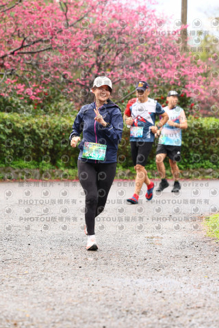 2026左岸竹東櫻花馬拉松Zhudong Sakura Marathon