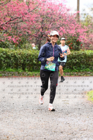 2026左岸竹東櫻花馬拉松Zhudong Sakura Marathon