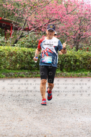 2026左岸竹東櫻花馬拉松Zhudong Sakura Marathon