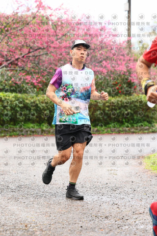 2026左岸竹東櫻花馬拉松Zhudong Sakura Marathon
